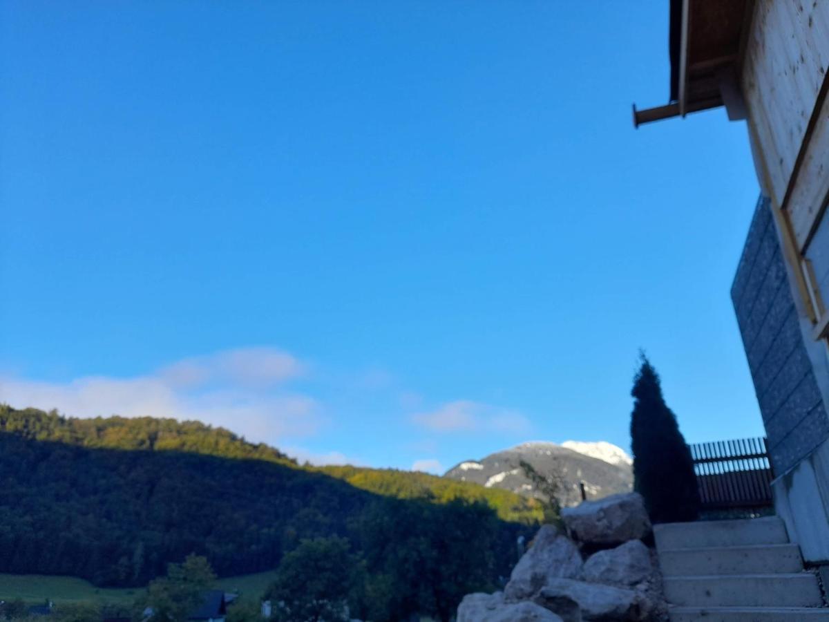 Apartment Auszeit Am Weinbuehel Bad Ischl